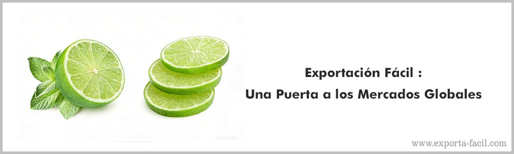 Exportacion Facil Una Puerta a los Mercados Globales144444 1
