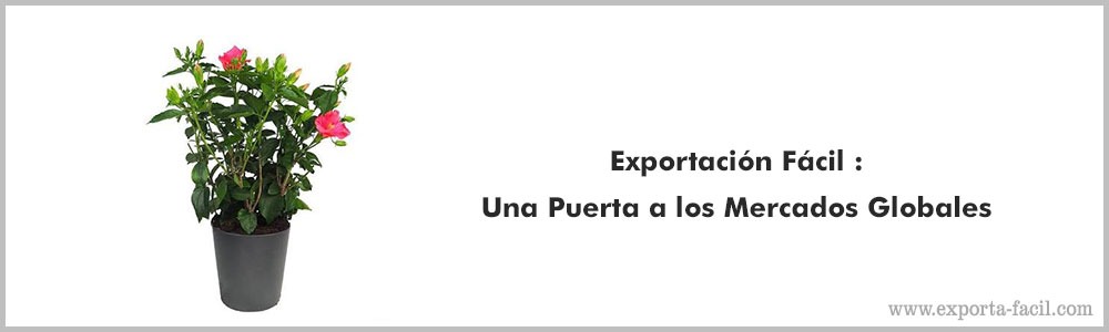 Exportacion Facil2 Una Puerta a los Mercados Globales 1