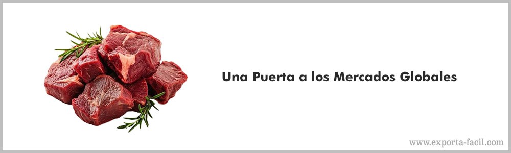 Una Puerta a los Mercados Globales4 1