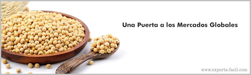 Una Puerta a los Mercados Globales5 2