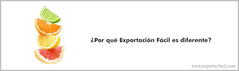 ¿Por que Exportacion Facil es diferente44 3