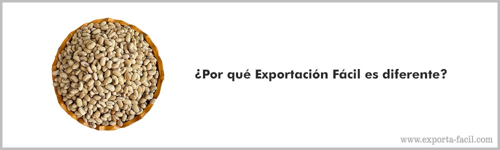 ¿Por que Exportacion Facil es diferente5 1 4