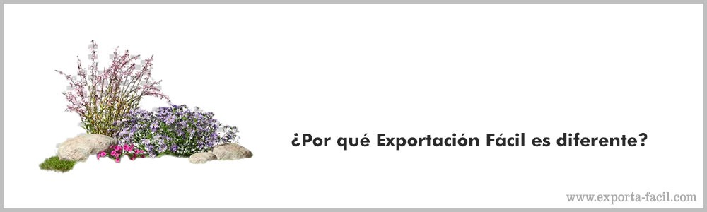 ¿Por que Exportacion Facil es diferente8 3