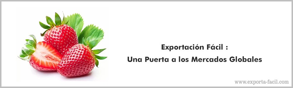 Exportacion Facil Una Puerta a los Mercados Globales11 1