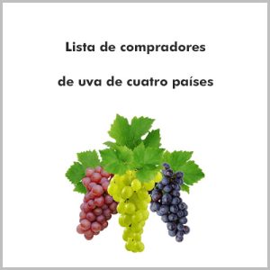 Lista de compradores de uva de cuatro países