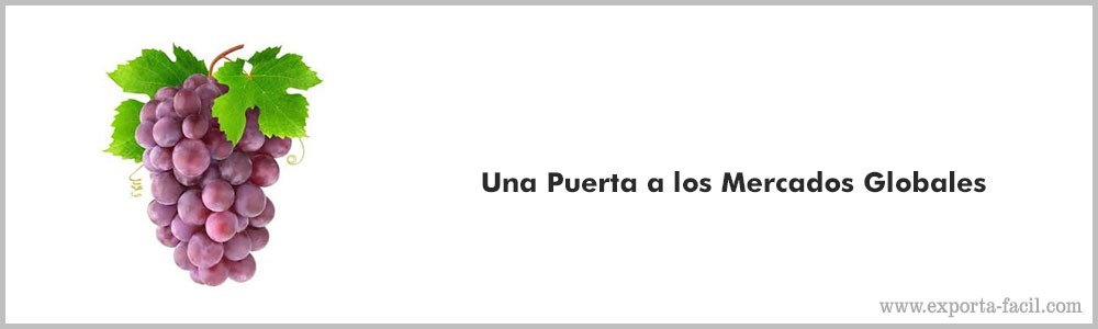 Una Puerta a los Mercados Globales4 2 Una Puerta a los Mercados Globales4 1