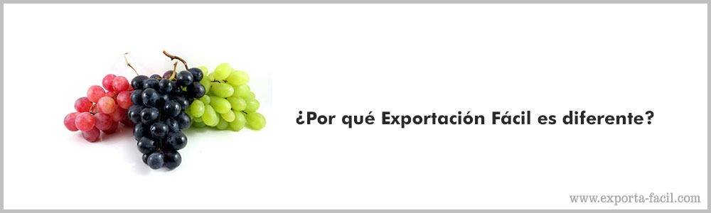 ¿Por que Exportacion Facil es diferente3 4 ¿Por que Exportacion Facil es diferente3 3