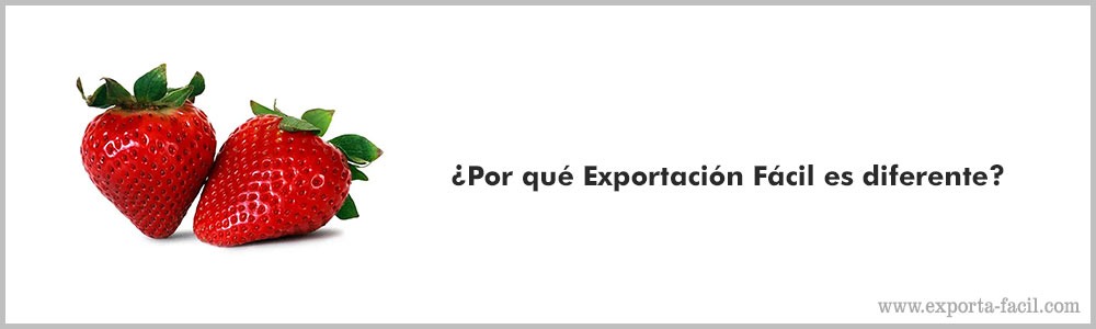 ¿Por que Exportacion Facil es diferente9 3