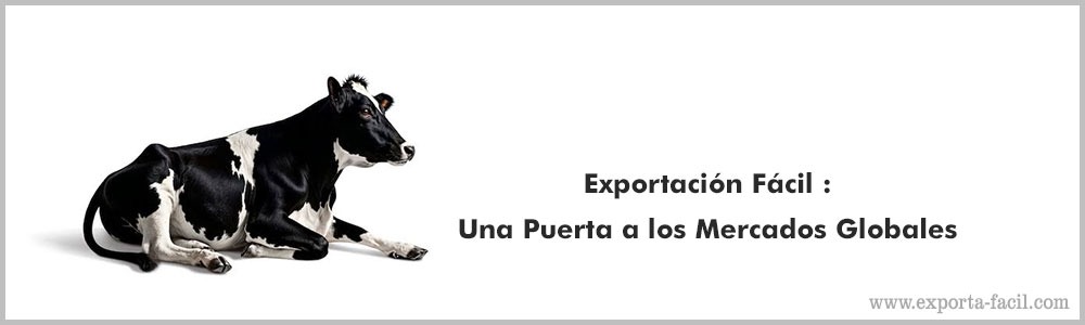 Exportacion Facil22 Una Puerta a los Mercados Globales 2