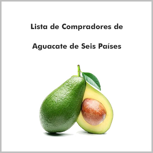 Lista de Compradores de Aguacate de Seis Paises 2