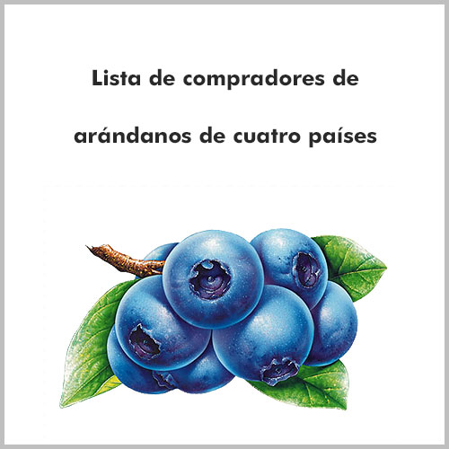 Lista de compradores de arandanos de cuatro paises 5