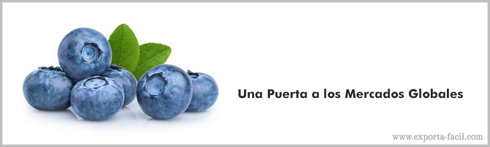 Una Puerta a los Mercados Globales 1 2