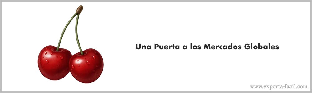 Una Puerta a los Mercados Globales6 2
