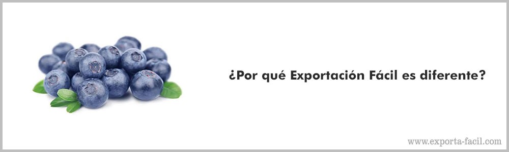 ¿Por que Exportacion Facil es diferente 1 4