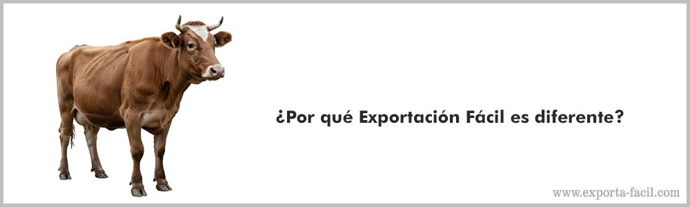¿Por que Exportacion Facil es diferente444 4