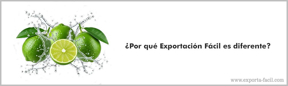 ¿Por que Exportacion Facil es diferente555 4