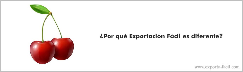 ¿Por que Exportacion Facil es diferente6 4