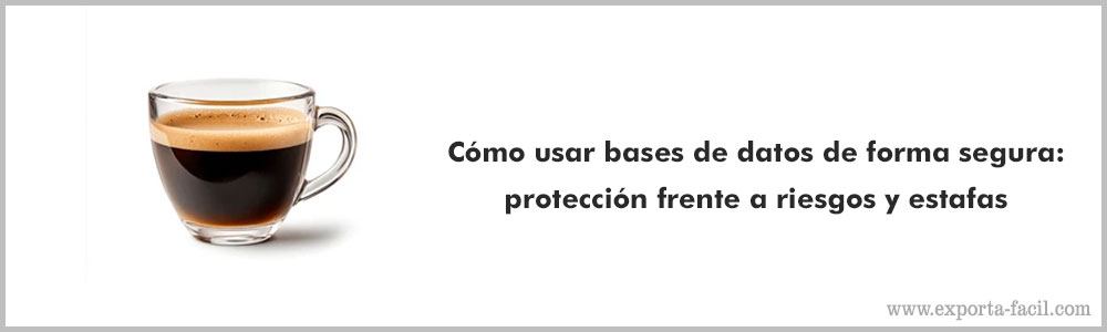 Como usar bases de datos de forma segura proteccion frente a riesgos y estafas 11