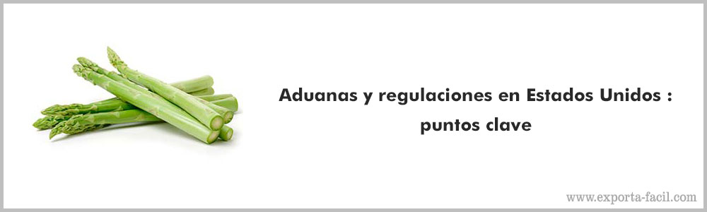 Aduanas y regulaciones en Estados Unido puntos clave 7
