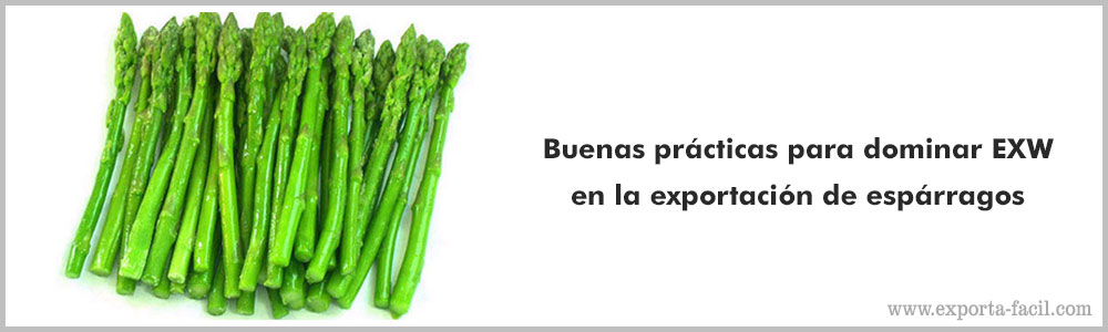 Buenas practicas para dominar EXW en la exportacion de esparragos 9