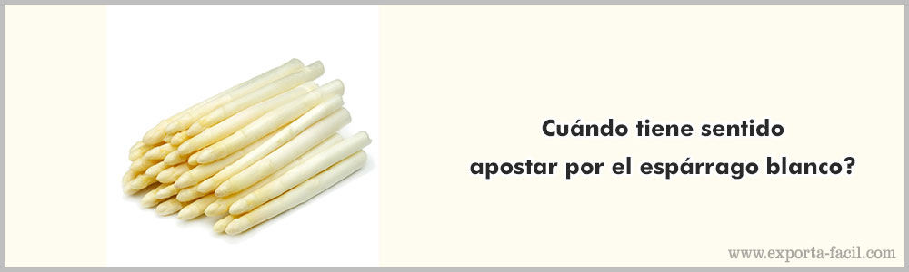 Cuando tiene sentido apostar por el esparrago blanco 9