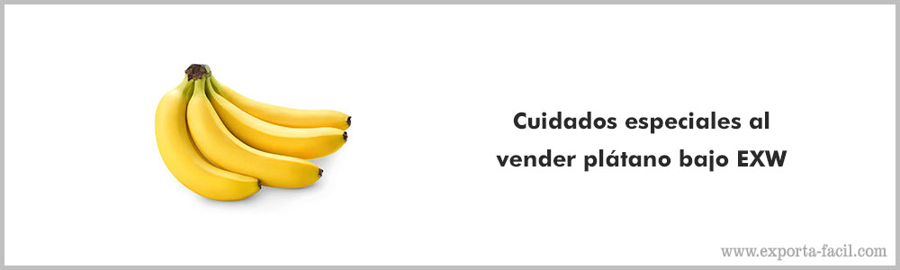 Cuidados especiales al vender platano bajo EXW 7