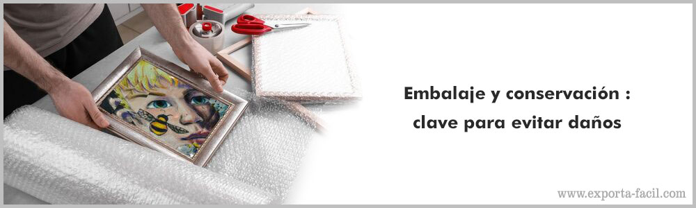 Embalaje y conservacion clave para evitar danos 7