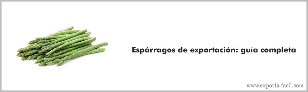 Esparragos de exportacion guia completa 3