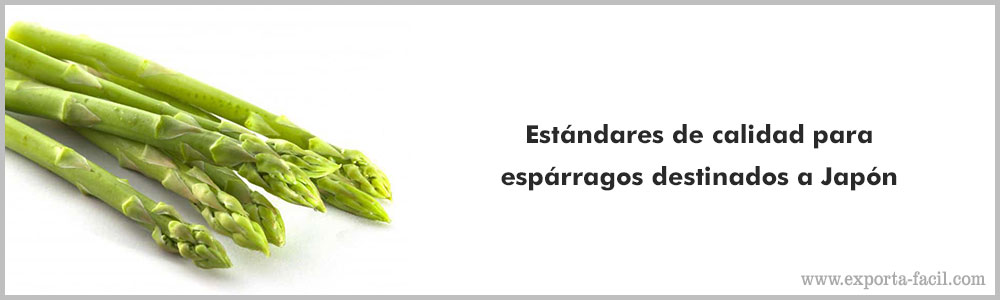Estandares de calidad para esparragos destinados a Japon 3