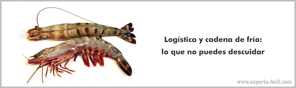 Logistica y cadena de frio lo que no puedes descuidar 9