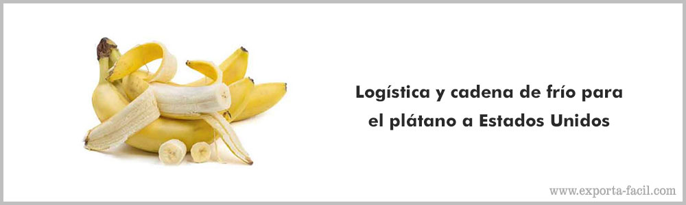Logistica y cadena de frio para el platano a Estados Unidos 7