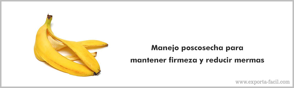 Manejo poscosecha para mantener firmeza y reducir mermas 7
