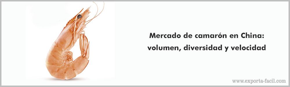 Mercado de camaron en China volumen diversidad y velocidad 3