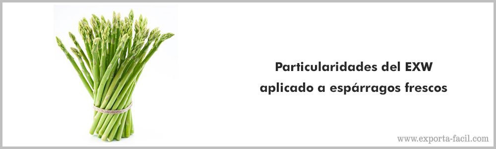 Particularidades del EXW aplicado a esparragos frescos 5