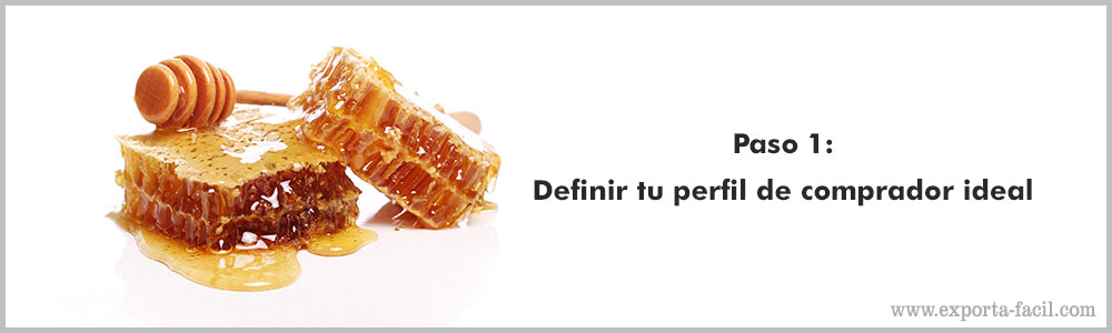 Paso 1 Definir tu perfil de comprador ideal 6 Paso 1 Definir tu perfil de comprador ideal 5
