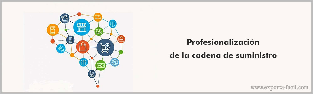 Profesionalizacion de la cadena de suministro 7