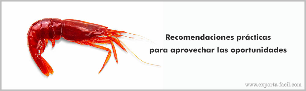 Recomendaciones practicas para aprovechar las oportunidades 11