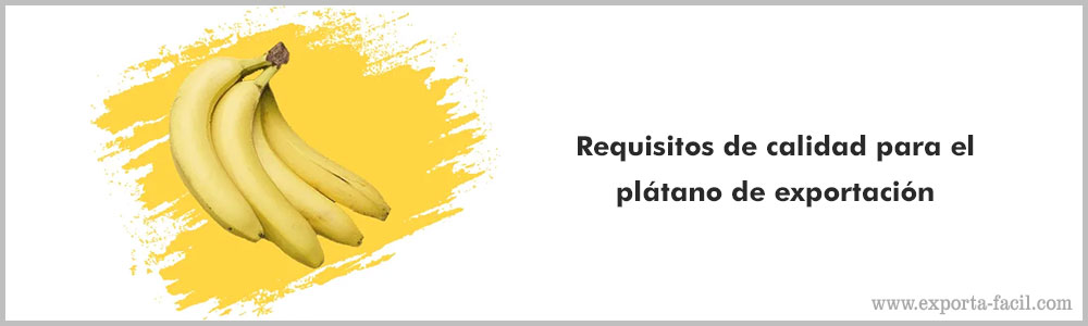 Requisitos de calidad para el platano de 5