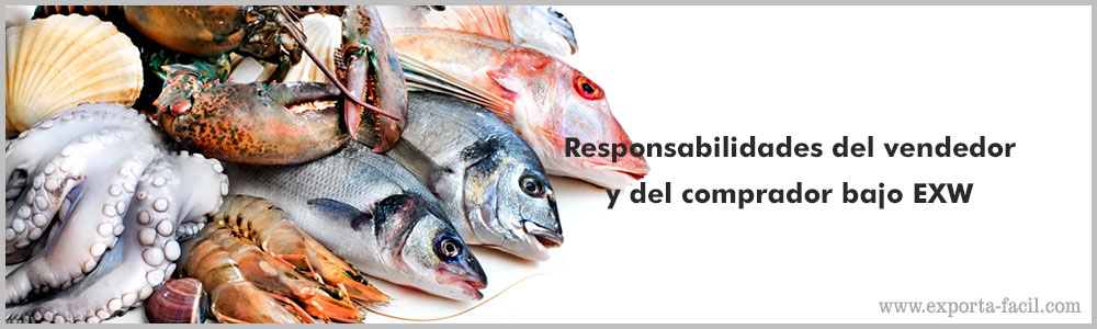 Responsabilidades del vendedor y del comprador bajo EXW 3