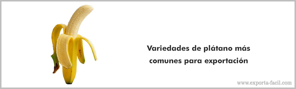 Variedades de platano mas comunes para 5