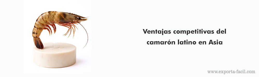 Ventajas competitivas del camaron latino en Asia 7