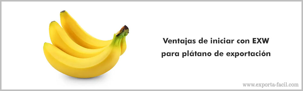 Ventajas de iniciar con EXW para platano de 3