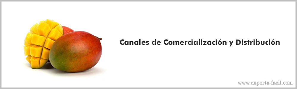 Canales de Comercializacion y Distribucion 8 Canales de Comercializacion y Distribucion 7