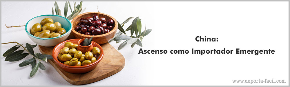 China Ascenso como Importador Emergente 4 China Ascenso como Importador Emergente 3