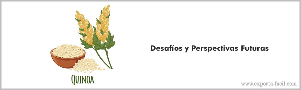 Desafios y Perspectivas Futuras 3