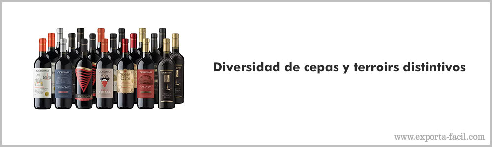 Diversidad de cepas y terroirs distintivos 3