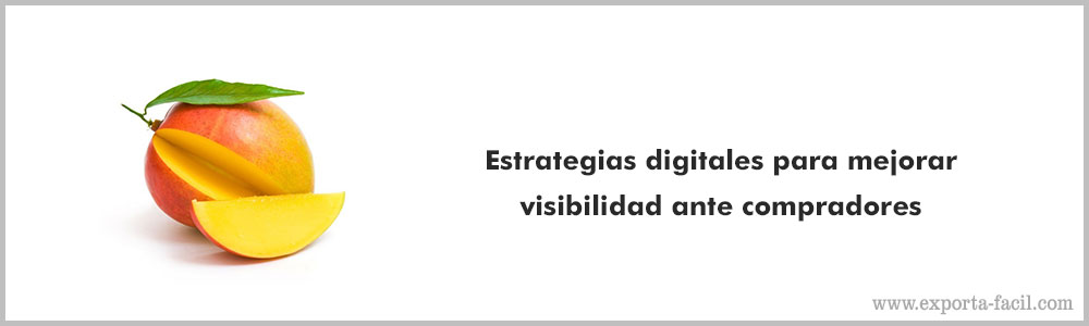Estrategias digitales para mejorar visibilidad ante compradores 10 Estrategias digitales para mejorar visibilidad ante compradores 9