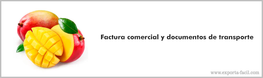 Factura comercial y documentos de transporte 10 Factura comercial y documentos de transporte 9