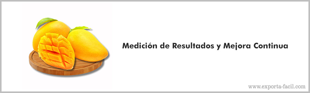 Medicion de Resultados y Mejora Continua 6 Medicion de Resultados y Mejora Continua 5
