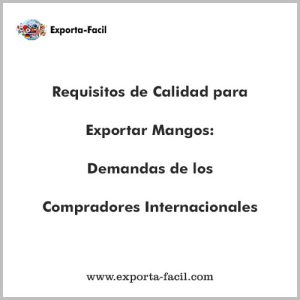 Requisitos de Calidad para Exportar Mangos Demandas de los Compradores Internacionales 17
